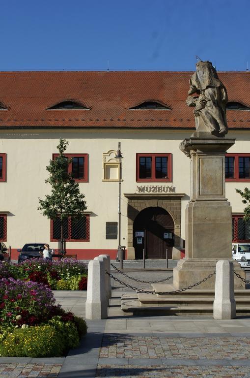 Villa Letná Brandýs nad Labem-Stará Boleslav Esterno foto